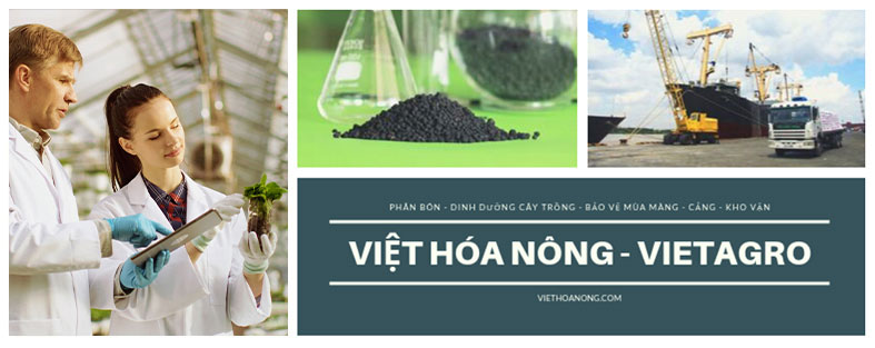 Việt Hóa Nông - VietAgro