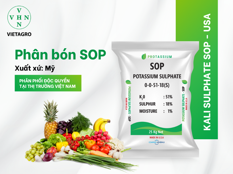 Những lợi ích của Kali Sulphate cho sầu riêng nhà nông cần biết